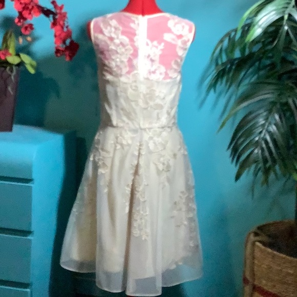 Tahari Champagne Gold Dress Size 10 - Picture 2 of 9